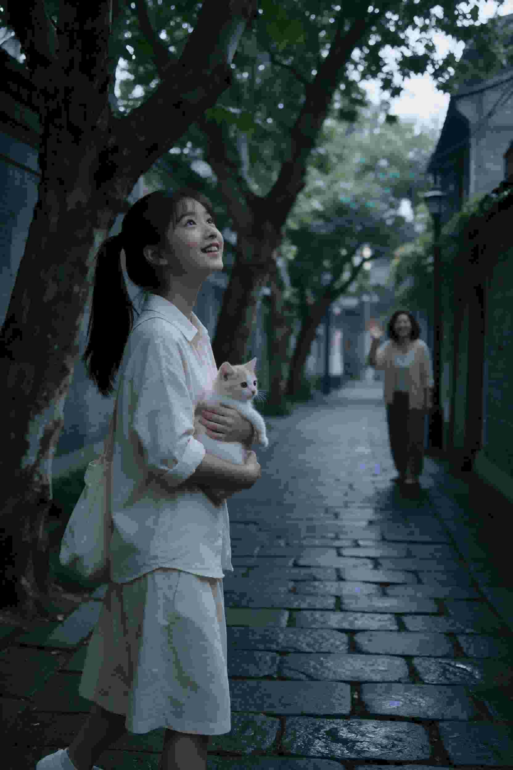 梦回千年